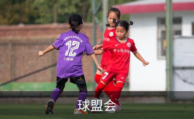 球盟会介绍